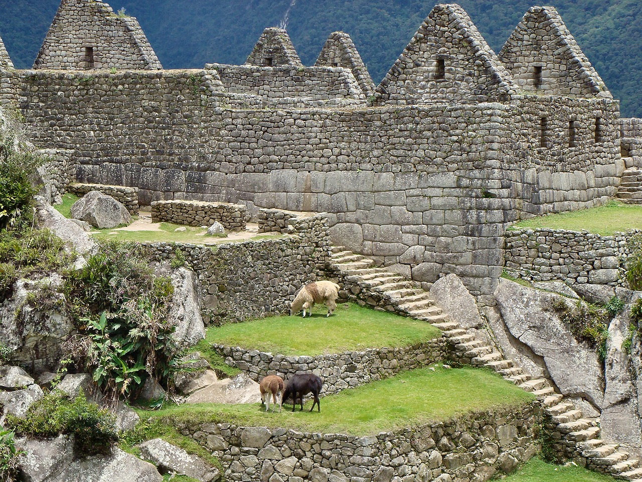 machu-picchu-2782850_1280